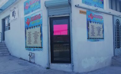 Tienda de acuarios Acuario MIZU