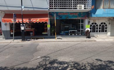 Tienda de acuarios Acuario Mixaå