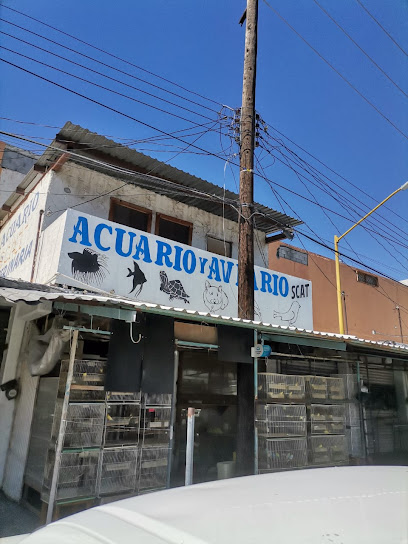 Tienda de acuarios Acuario Scat