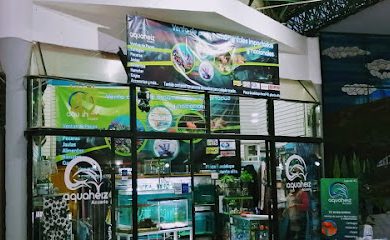 Tienda de acuarios Aquaheiz Acuario