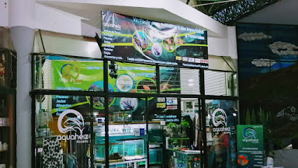 Tienda de acuarios Aquaheiz Acuario