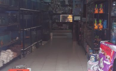 Tienda de acuarios Aquamundo Acuario