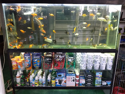 Tienda de acuarios Casa de la Mascota