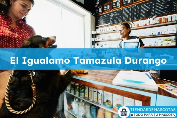 Tienda de acuarios El Igualamo Tamazula Durango