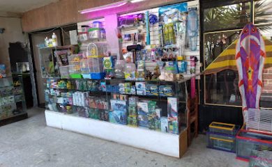 Tienda de acuarios Galeria vestigios de la vida