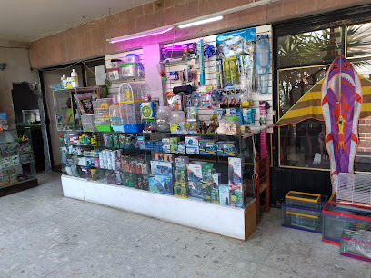 Exterior de Galeria vestigios de la vida en Villa Milpa Alta, CDMX