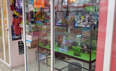 Tienda de acuarios MiAcuario Metepec / Acuario Mía / Acuario Mia Metepec #MiAcuarioMetepec