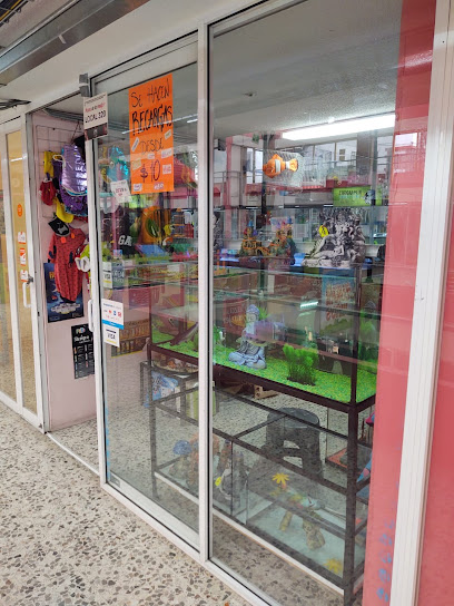 Tienda de acuarios MiAcuario Metepec / Acuario Mía / Acuario Mia Metepec #MiAcuarioMetepec