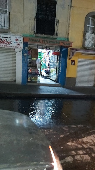 Tienda de acuarios Veterinaria FLEAS