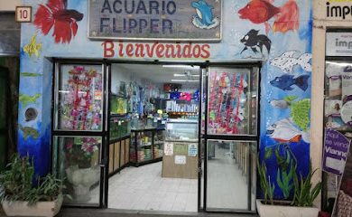 Tienda de acuarios acuario flipper