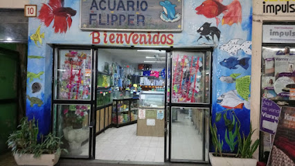 Tienda de acuarios acuario flipper
