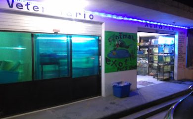 Tienda de alimentos para animales Animal Exotic Pet´s shop