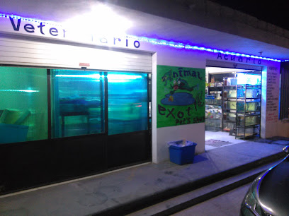 Tienda de alimentos para animales Animal Exotic Pet´s shop