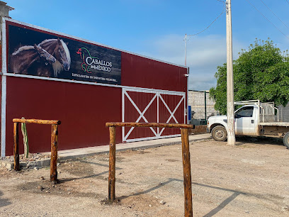 Tienda de alimentos para animales Caballos en México