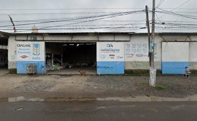 Tienda de alimentos para animales Capulhuac Alimentos Balanceados