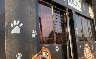 Tienda de alimentos para animales Croquetas Monclova