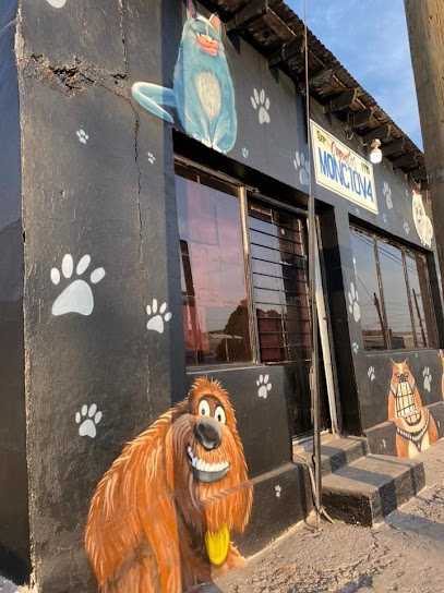 Tienda de alimentos para animales Croquetas Monclova