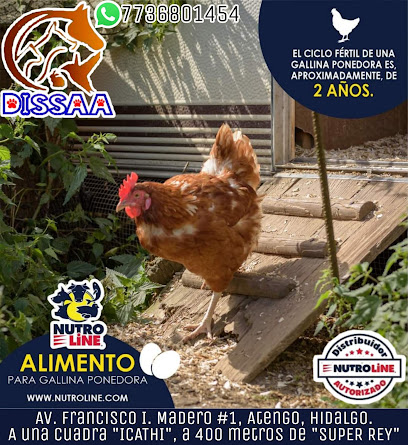 Tienda de alimentos para animales DISSAA "PetLine Atengo"