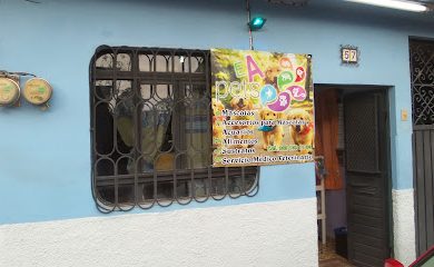 Tienda de alimentos para animales EA pet's accesorios para mascotas
