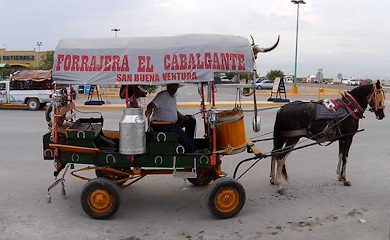 Tienda de alimentos para animales El Cabalgante