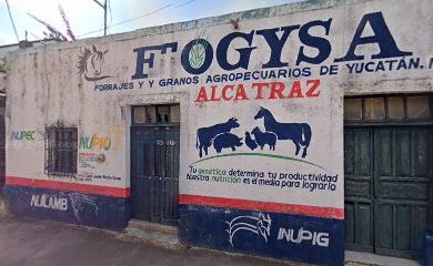 Tienda de alimentos para animales FOGYSA Tekax