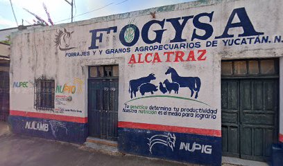 Tienda de alimentos para animales FOGYSA Tekax
