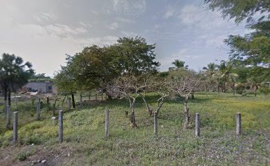 Tienda de alimentos para animales Forajes de Ruiz