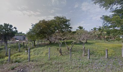 Tienda de alimentos para animales Forajes de Ruiz