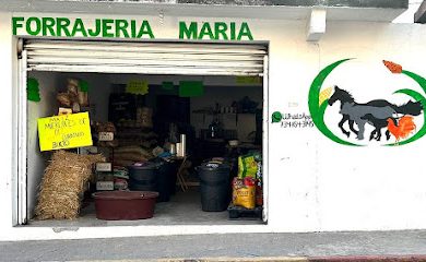Tienda de alimentos para animales Forrajería "María"