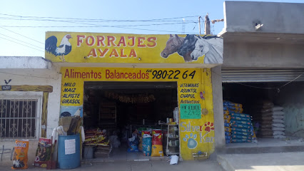 Tienda de alimentos para animales Forrajes Ayala