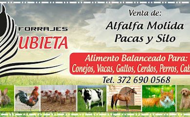 Tienda de alimentos para animales Forrajes Zubieta