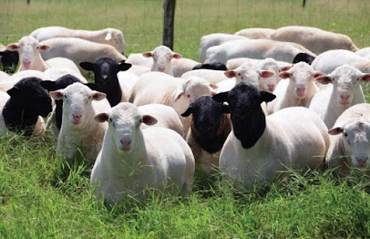 Tienda de alimentos para animales Forrajes el Herradero