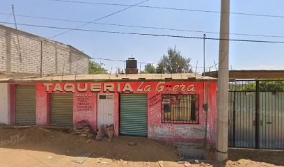 Tienda de alimentos para animales GALLOMANIA CUILAPAM