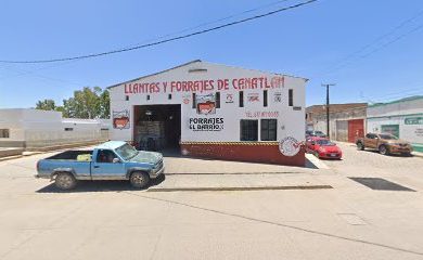 Tienda de alimentos para animales Llantas y Forrarjes de Canatlán