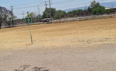 Tienda de alimentos para animales Malta Cleyton