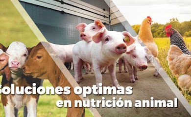 Tienda de alimentos para animales Nutrezoo