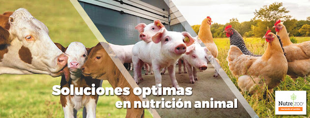 Tienda de alimentos para animales Nutrezoo