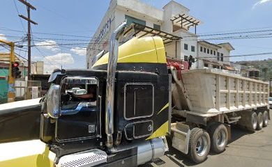 Tienda de alimentos para animales Nutrimentos Purina Tenancingo