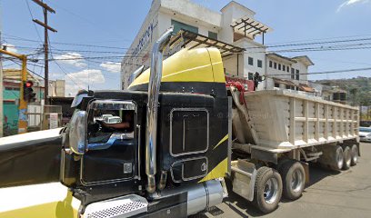 Tienda de alimentos para animales Nutrimentos Purina Tenancingo