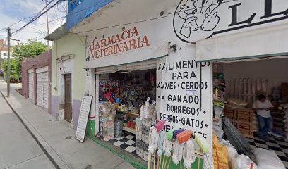 Tienda de alimentos para animales Pet shop