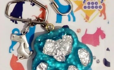 Tienda de alimentos para animales PetStep, alimento y artículos para mascotas