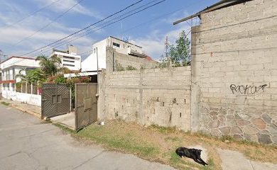 Tienda de alimentos para animales Petstore Puebla