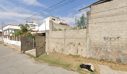 Tienda de alimentos para animales Petstore Puebla