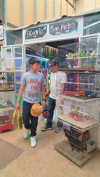 Tienda de alimentos para animales Vettoro