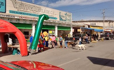 Tienda de alimentos para animales Vettoro