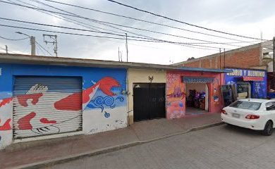Tienda de animales ACUARIO Y mascotas ''LIZ''