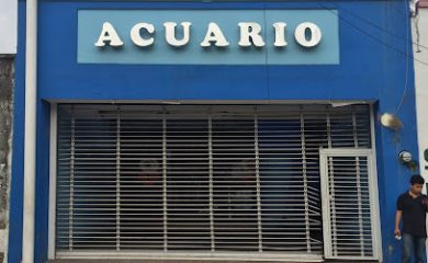 Tienda de animales Acuario Gon Curi