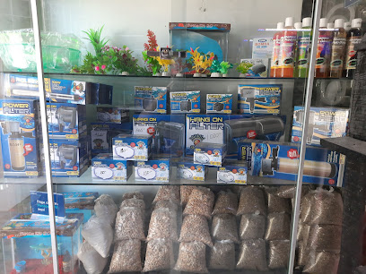 Tienda de animales Acuario Pecelandia Zacatecas