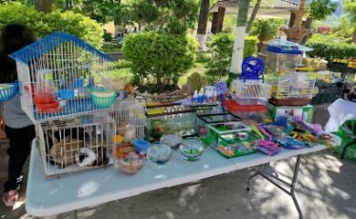 Tienda de animales Acuario el Pescadito