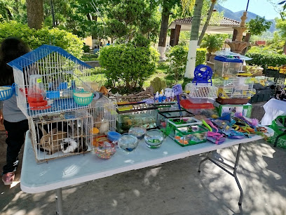 Tienda de animales Acuario el Pescadito